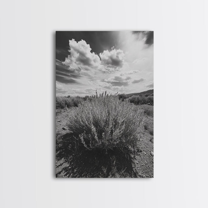 Desert Sage, Cloud Sky, Nature Wall Decor, Framed Canvas Print, Minimalist Art, Boho Style, Neutral Tones, Entryway Botanical Print