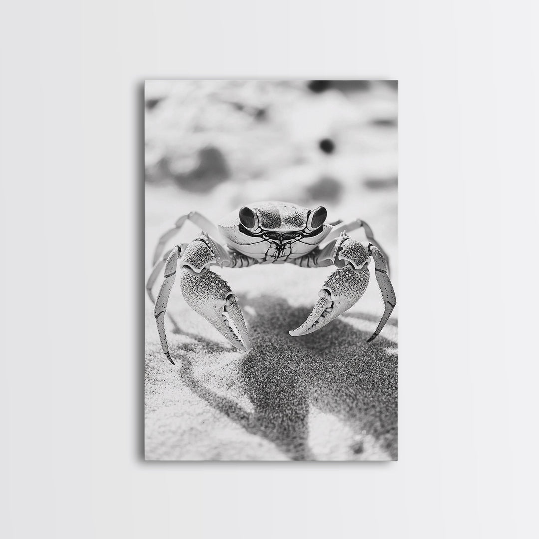 Sand Crab, Beach Macro, Ocean Critter Art, Framed Canvas Print, Coastal Bathroom Decor, Beach House Wall Art, Nature Close-Up