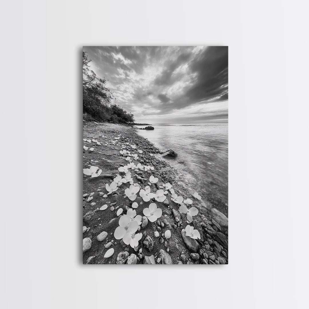 Flower Shore, Peaceful Beach, Moody Sky, Petal Scape, Framed Canvas Print, romantic beach art, bedroom decor, black and white floral print