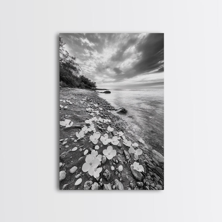 Flower Shore, Peaceful Beach, Moody Sky, Petal Scape, Framed Canvas Print, romantic beach art, bedroom decor, black and white floral print