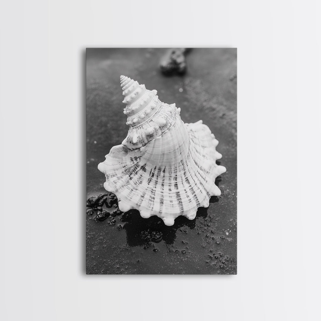 Spiral Shell, Beach Texture, Nature Closeup, Sea Whisper Framed Canvas Print, minimalist beach wall art, boho coastal kitchen decor