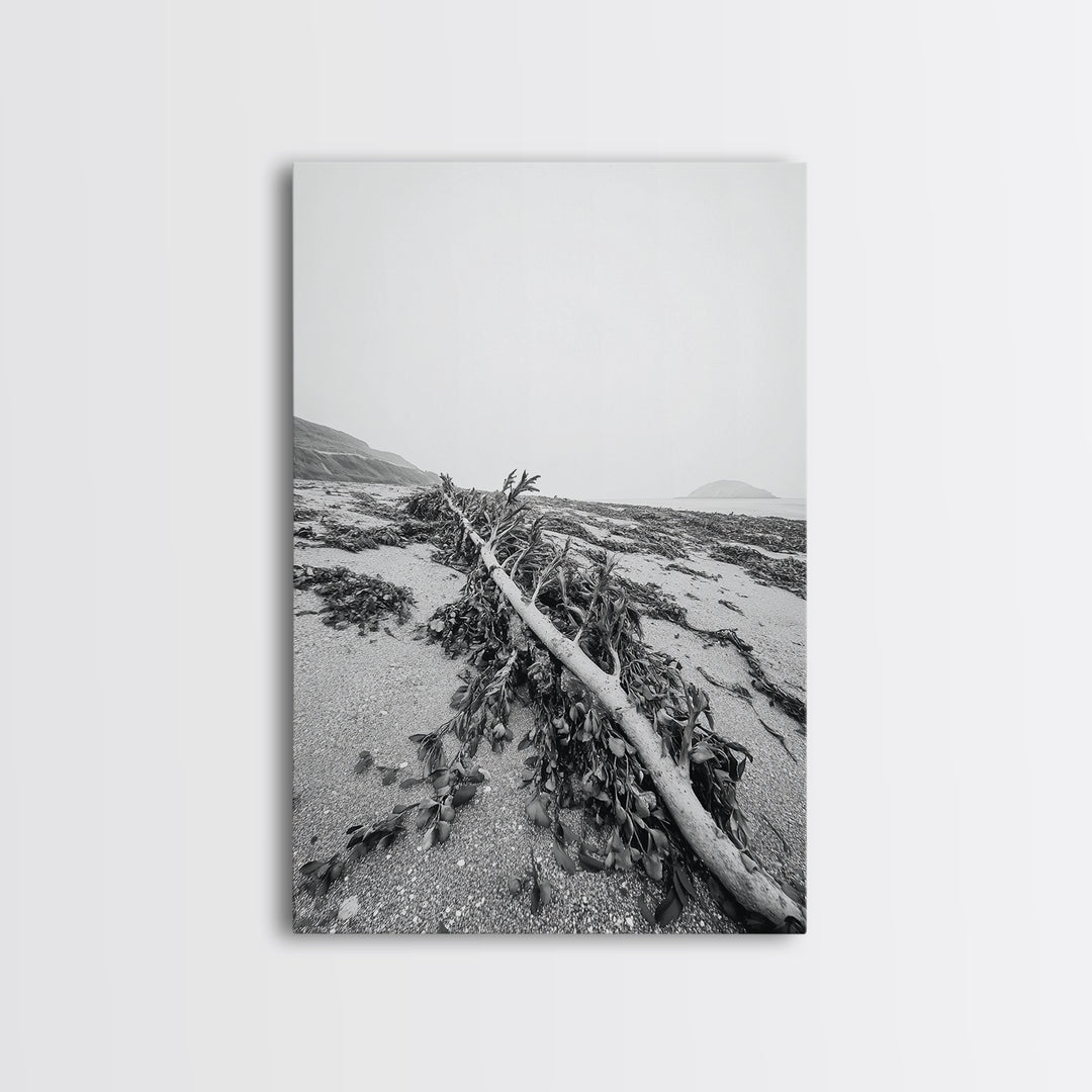 Seaweed Shoreline, Drifted Beauty, Coastal Debris, Tide Echo Framed Canvas Print, ocean nature wall art, minimalist beach decor