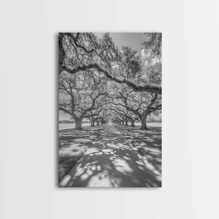 Oak Tree Tunnel, Southern Charm, Shaded Pathway, Timeless Trees Framed Canvas Print, farmhouse wall decor, hallway landscape art