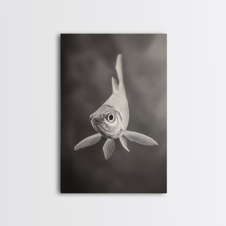 Curious Fish, Underwater Focus, Moody Marine Life, Framed Canvas Print, Bathroom Wall Art, Black and White Ocean Wildlife Decor