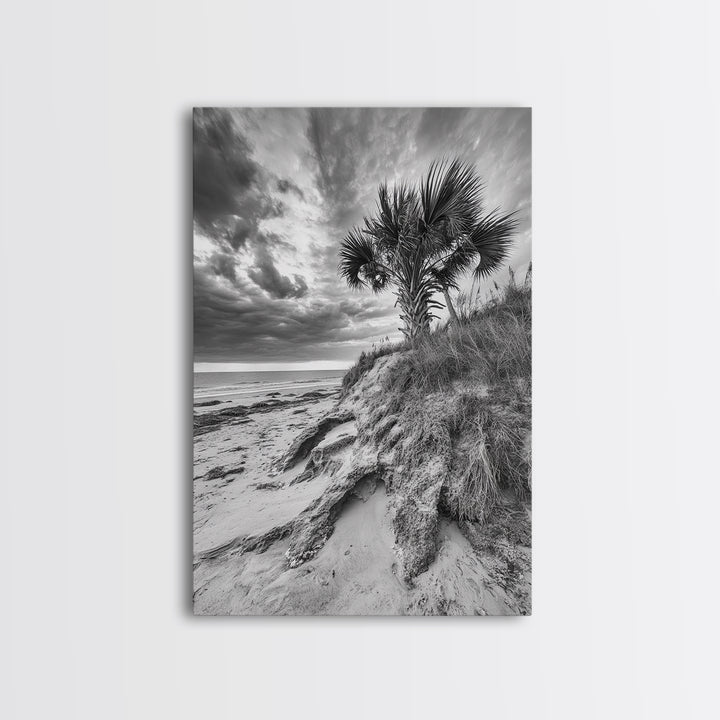 Palm Tree Beach, Coastal Dunes, Dramatic Sky, Framed Canvas Print, Tropical Wall Art, Boho Living Room Decor, Beach House Art