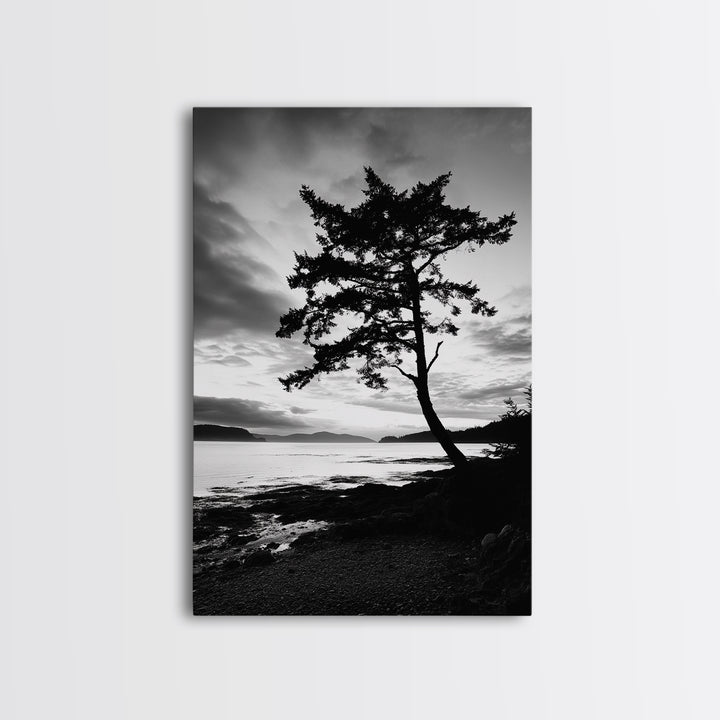 Coastal Tree, Pacific Northwest, Serene Landscape, Monochrome Nature Scene, Framed Canvas Print, Entryway Art, Rustic Cabin Wall Decor