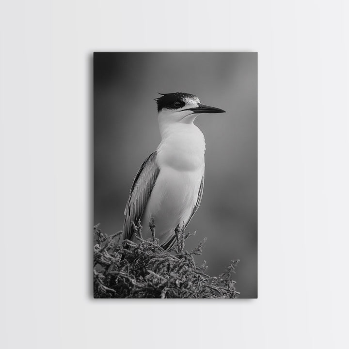 Coastal Bird Portrait, Black White Art, Nature Print, Minimalist Style, Living Room Wall Decor, Framed Canvas Print, Beach House Art