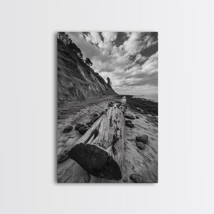 Driftwood Coastal Trail, Cliffside Path Nature Art, Rustic Cabin Style, Black White Photography, Framed Canvas Print, Hallway Wall Decor