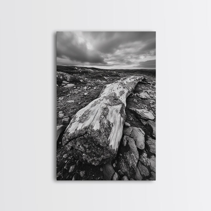Rocky Terrain Driftwood, Weathered Wood Scene, Outdoor Adventure Art, Modern Rustic Decor, Framed Canvas Print, Earthy Tones Photography