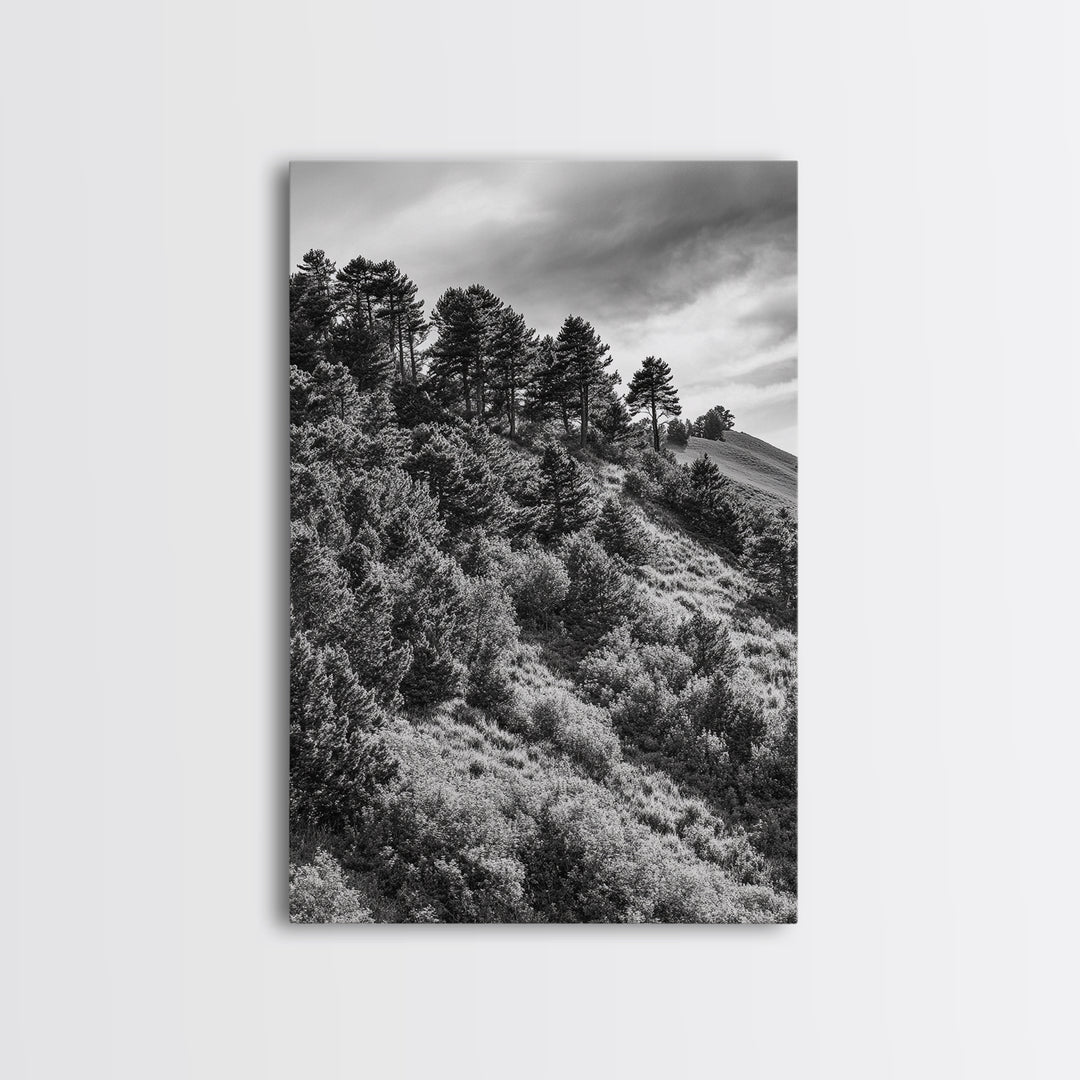 Hillside Forest, Peaceful Pines, Mountain Light, Framed Canvas Print, Nature Wall Art, Cabin Decor, Woodland Landscape Scene