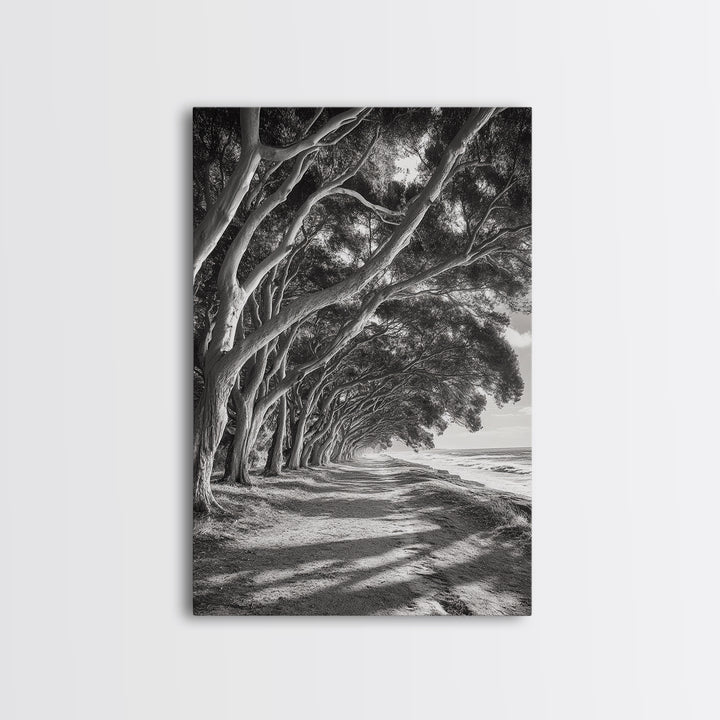 Coastal Tree Path, Nature Shadows, Ocean Breeze, Autumn Light, Framed Canvas Print, Living Room Wall Art, Moody Landscape Photography