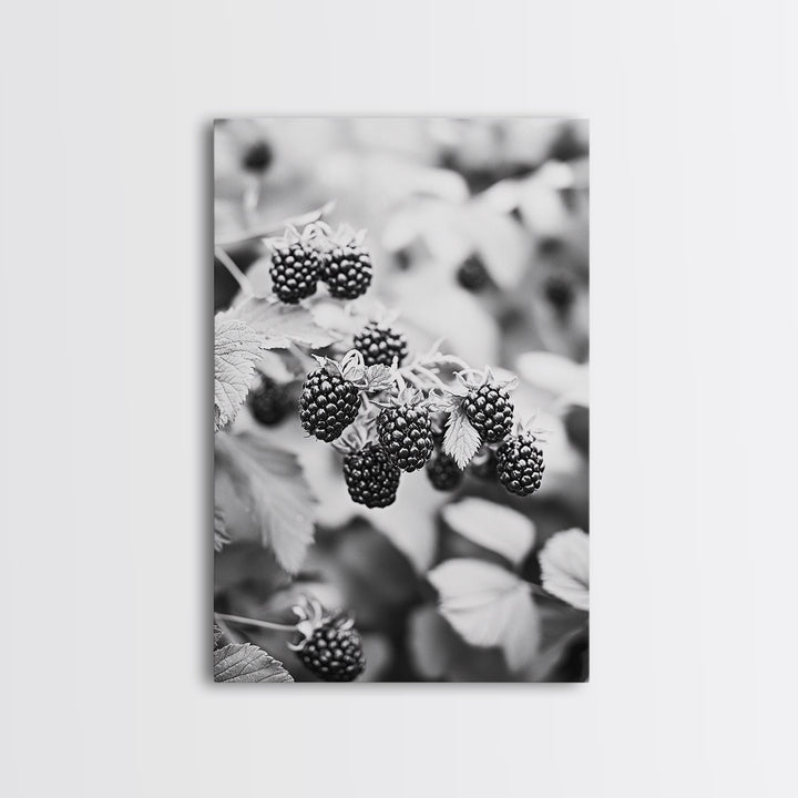 Blackberries in Bloom, Ripe Fruit Closeup, Garden Harvest, Natural Beauty, Framed Canvas Print, Farmhouse Kitchen Art, Fall Decor