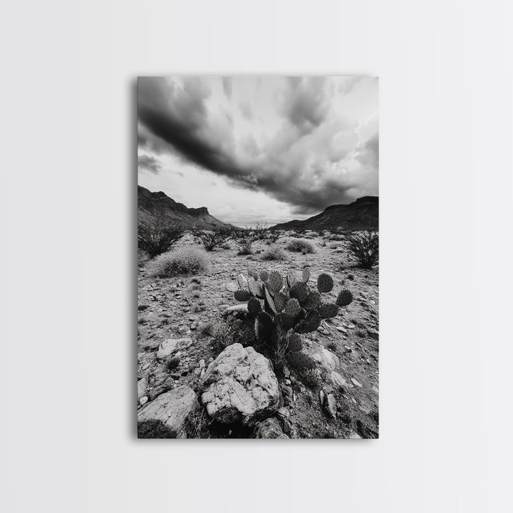Desert Storm, Cactus Scene, Black White Art, Canvas Print, Southwest Wall Art, Earthy Tones Decor, Boho Style, Entryway Wall Accent
