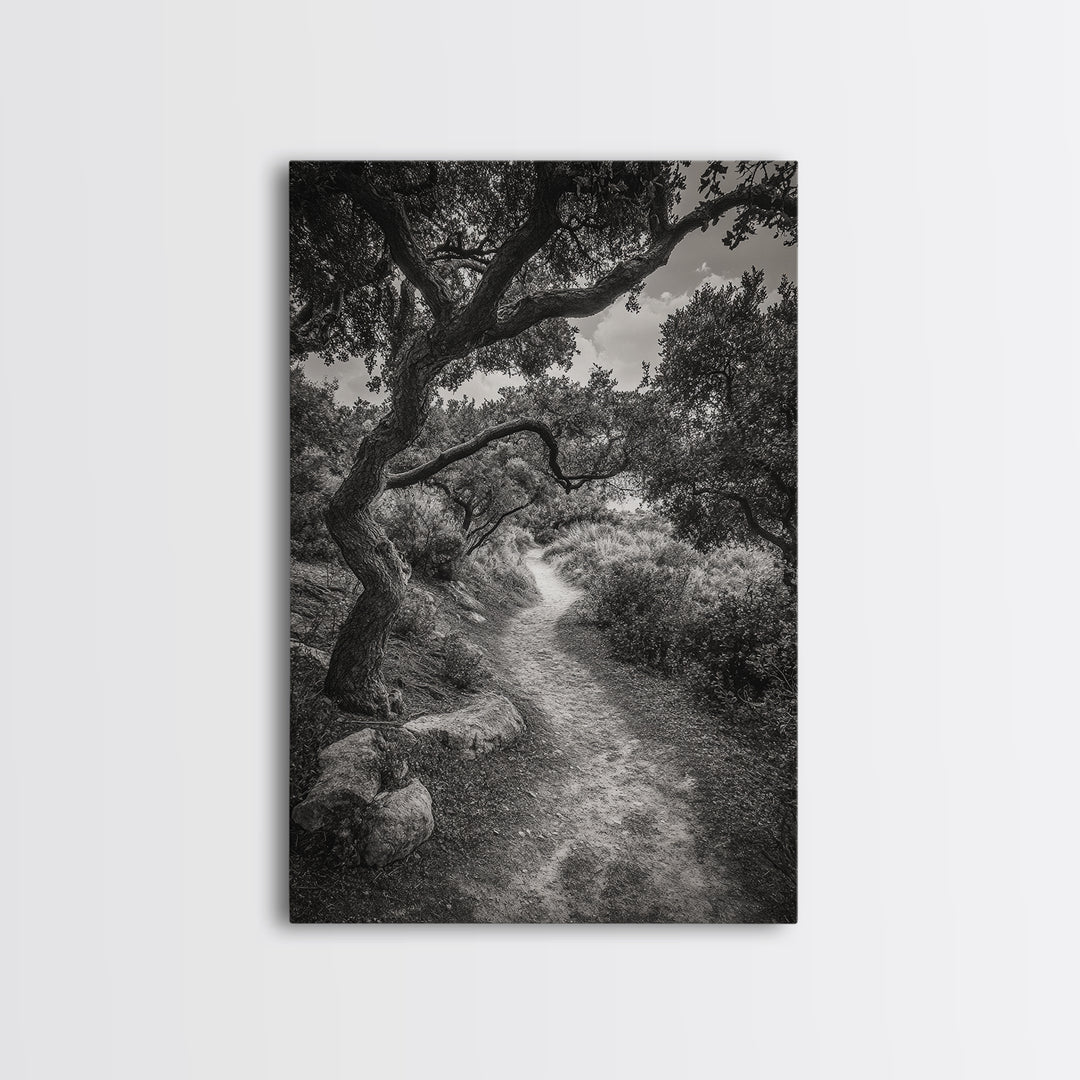 Forest Path, Twisting Trees, Nature Trail Scene, Framed Canvas Print, Earthy Wall Art, Boho Woodland Decor, Entryway or Hallway Accent