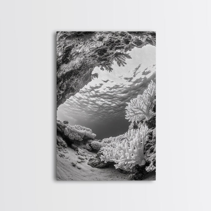 Coral Reef Underwater, Ocean Photography, Marine Nature Scene, Framed Canvas Print, Bathroom Wall Art, Coastal Minimalist Decor
