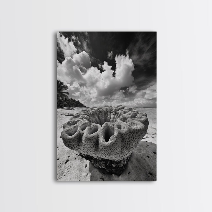 Coral Reef Texture, Ocean Wall Art, Coastal Minimalist, Nature Photography, Framed Canvas Print, Bathroom Wall Decor, Tropical Beach Print