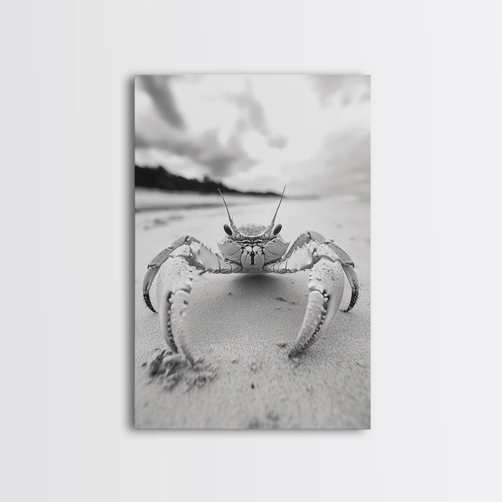 Beach Crab Portrait, Closeup Ocean Art, Tropical Minimalism, Coastal Creature Photo, Framed Canvas Print, Bathroom Wall Decor, Marine Decor