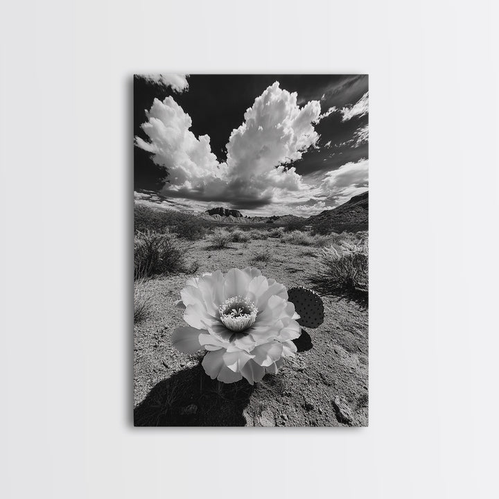 Desert Bloom, Cactus Flower, Bold Nature, Framed Canvas Print, Boho Wall Art, Southwestern Home Decor, Dramatic Desert Photography