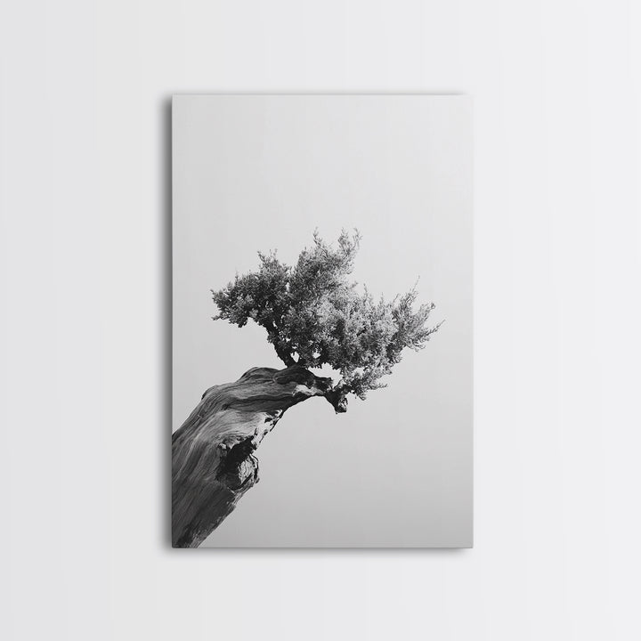 Bonsai Tree, Windswept Wood, Minimal Zen, Canvas Print, Japanese Style Art, Wabi Sabi Decor, Monochrome Botanical Wall Accent