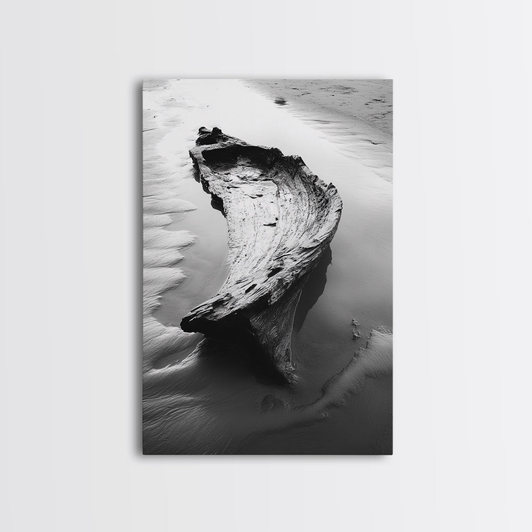 Driftwood Shore, Tidal Beauty, Washed Wood, Canvas Print, Coastal Beach Wall Art, Minimalist Bathroom Decor, Black and White Ocean Scene