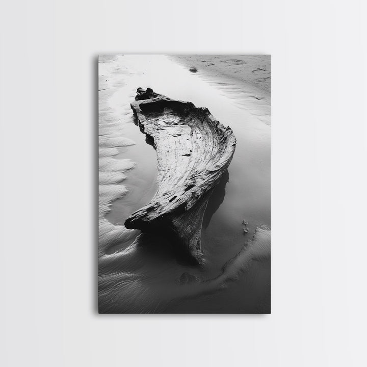 Driftwood Shore, Tidal Beauty, Washed Wood, Canvas Print, Coastal Beach Wall Art, Minimalist Bathroom Decor, Black and White Ocean Scene