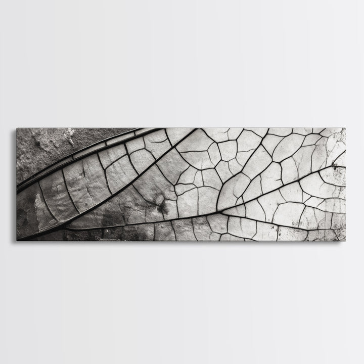 Macro Insect Wing, Abstract Nature Texture, Modern Neutral Wall Decor, Framed Canvas Print, Office Art, Monochrome Macro Photography