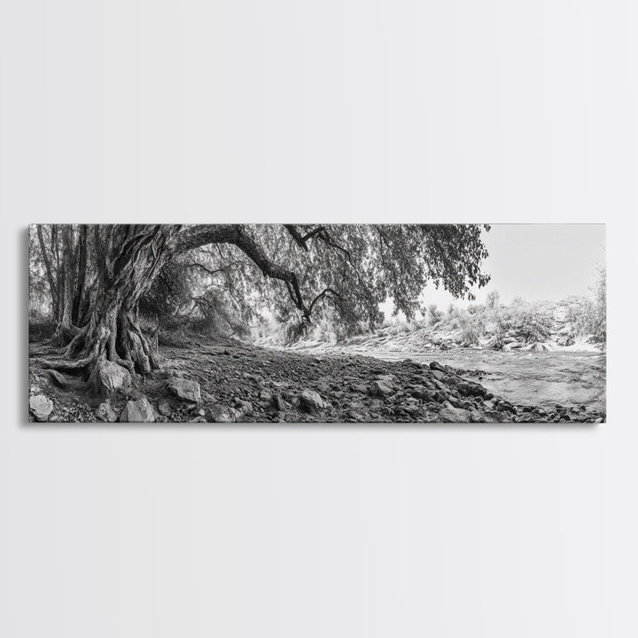 River Tree Roots, Tranquil Forest Landscape, Nature Wall Decor, Framed Canvas Print, Living Room Art, Black and White Earthy Style