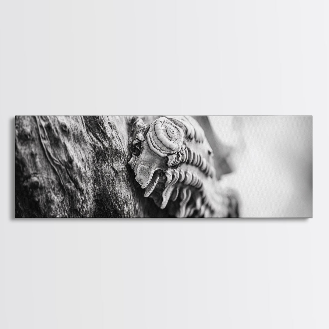 Tree Fungus, Natural Texture, Close-Up Growth, Wood Grain, Framed Canvas Print, Nature Wall Art, Boho Bedroom Decor, Botanical Print