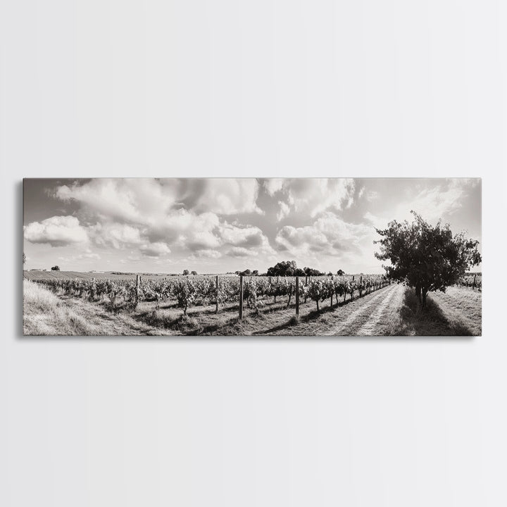 Vineyard Rows, Sunny Fields, Cloudy Sky, Canvas Print, Rustic Country Decor, Dining Room Wall Art, Wine Country Landscape, Farmhouse Style