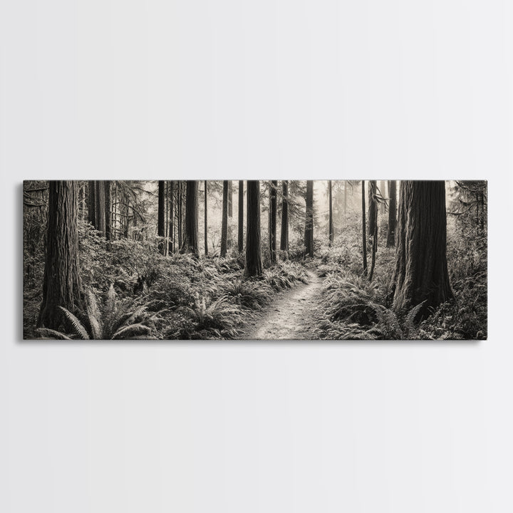 Redwood Forest, Nature Path, Fern Understory, Framed Canvas Print, Moody Nature Photography, Office Wall Art, Forest Bathing Vibes