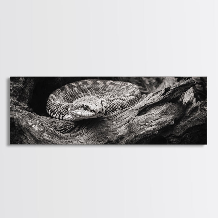 Coiled Rattlesnake, Wild Nature, Black and White, Canvas Print, Rustic Decor, Man Cave Wall Art, Cabin Style, Animal Photography, Moody Art