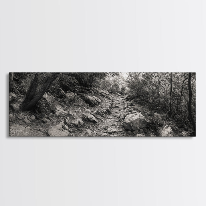 Rocky Path, Forest Trail, Autumn Mood, Canvas Print, Nature Photography, Rustic Entryway Decor, Woodland Art, Cabin Hallway Style