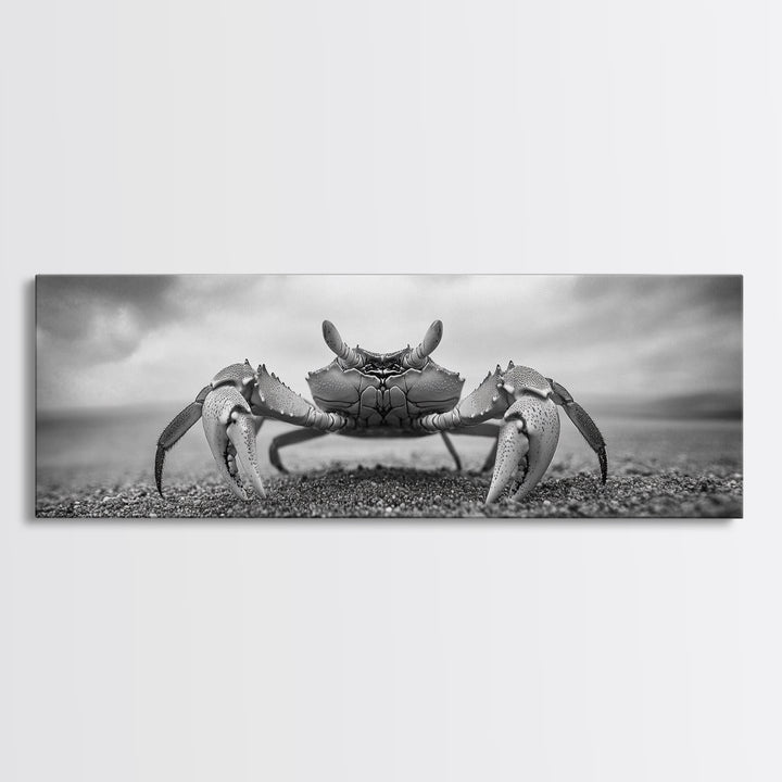 Closeup Crab, Coastal Creature, Dramatic Sand, Framed Canvas Print, Beach Wall Art, Nautical Bathroom Decor, Ocean Nature Photo