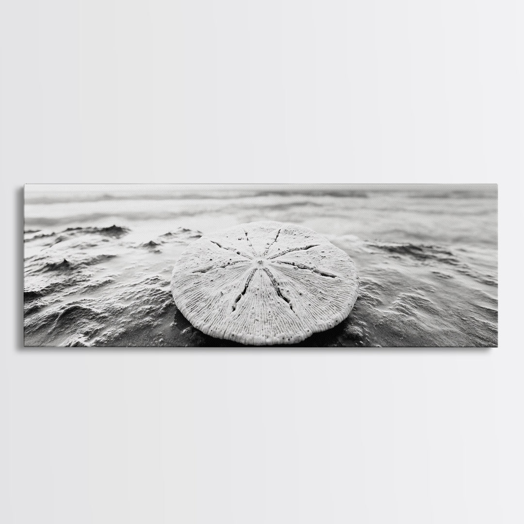Sand Dollar, Ocean Shore, Calm Waters, Canvas Print, Coastal Wall Art, Minimalist Bathroom Decor, Seashell Beach Photography