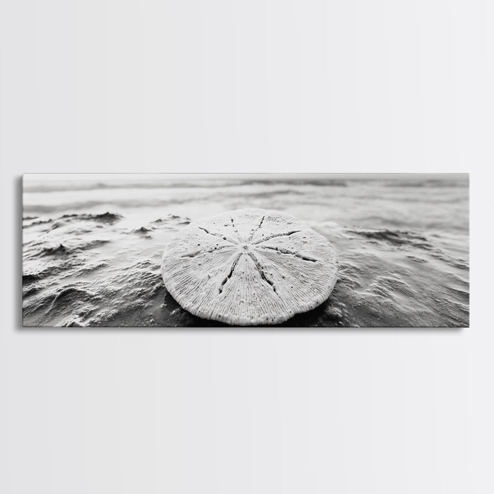 Sand Dollar, Ocean Shore, Calm Waters, Canvas Print, Coastal Wall Art, Minimalist Bathroom Decor, Seashell Beach Photography