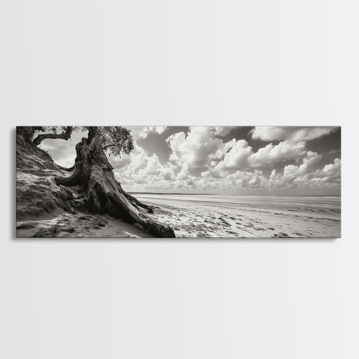 Coastal Tree Roots, Windswept Beach, Natural Form, Framed Canvas Print, Boho Wall Art, Entryway Decor, Beach House Aesthetic