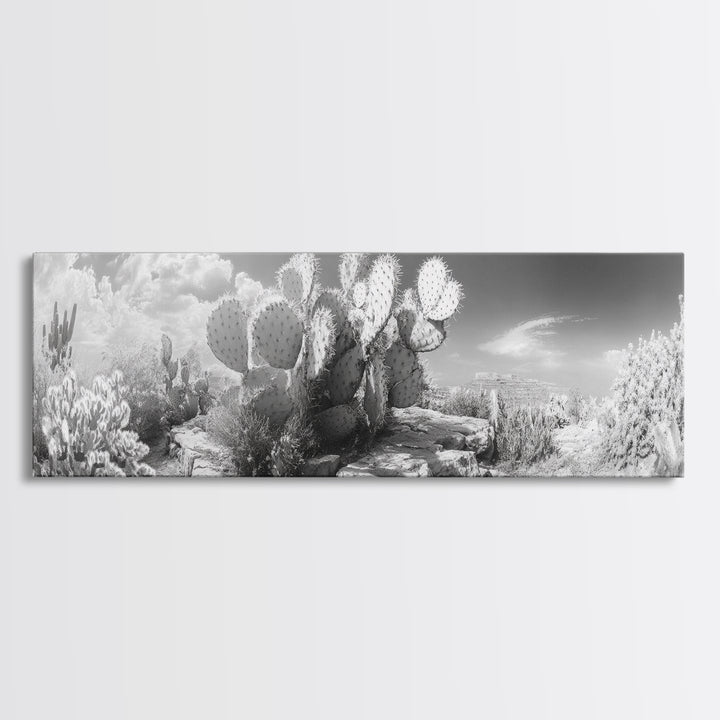 Desert Cactus Garden, Sunlit Southwest Scene, Nature Landscape Art, Canvas Print, Rustic Living Room Wall Decor, Boho Style