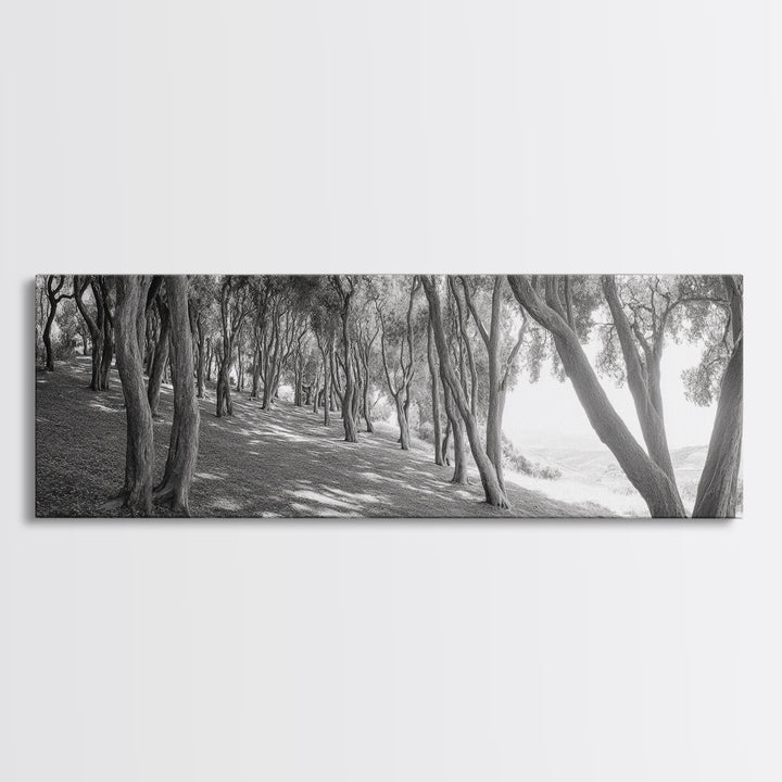 Forest Path, Tree Tunnel, Light Shadows, Woodland Magic, Framed Canvas Print, Nature Lover Gift, Entryway Wall Art, Modern Rustic Style