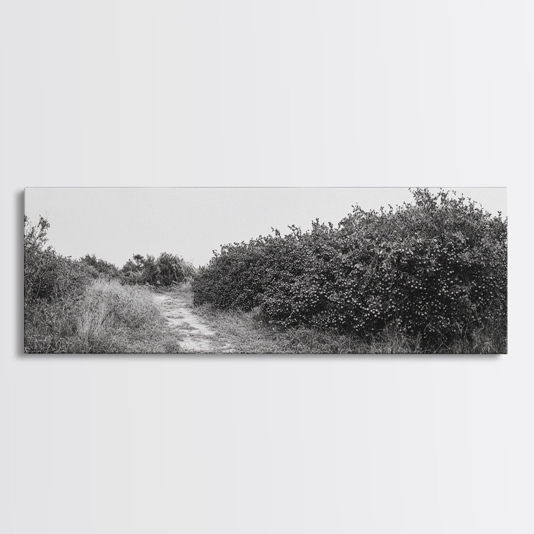 Wild Apple Path, Nature Overgrowth, Autumn Orchard Trail, Canvas Print, Fall Farmhouse Kitchen Art, Rustic Seasonal Wall Decor