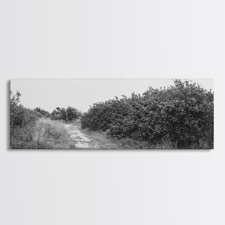 Wild Apple Path, Nature Overgrowth, Autumn Orchard Trail, Canvas Print, Fall Farmhouse Kitchen Art, Rustic Seasonal Wall Decor