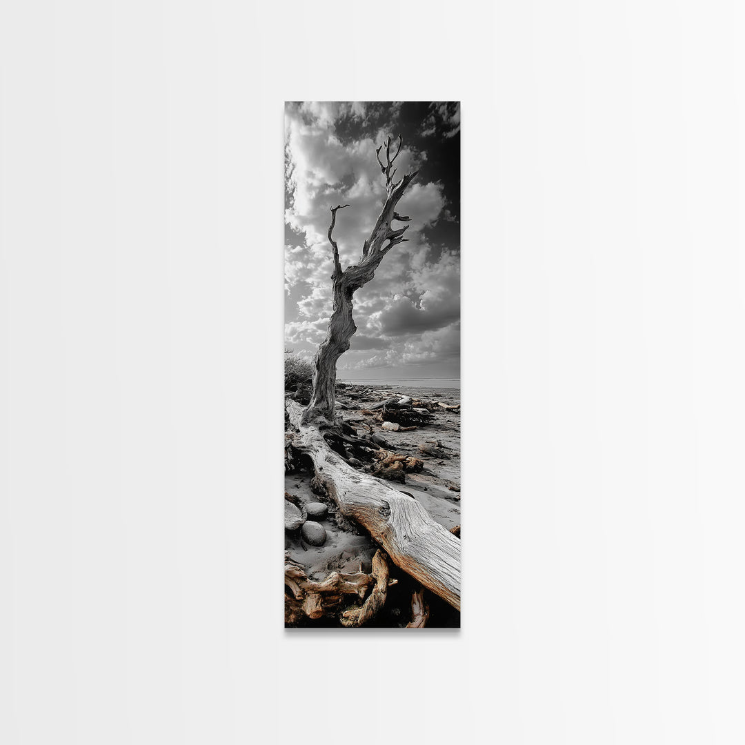 Weathered Tree, Coastal Roots, Dramatic Sky, Natural Form – Canvas Print, Living Room Wall Art, Monochrome Photography, Driftwood Decor