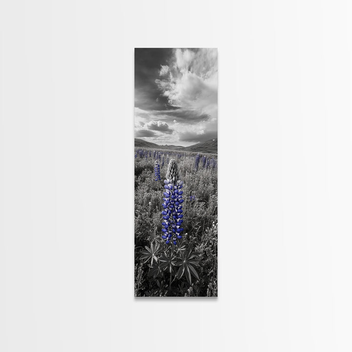 Blue Lupine, Wildflower Meadow, Cloudy Sky, Spring Bloom Framed Canvas Print, floral nature art, botanical hallway wall decor