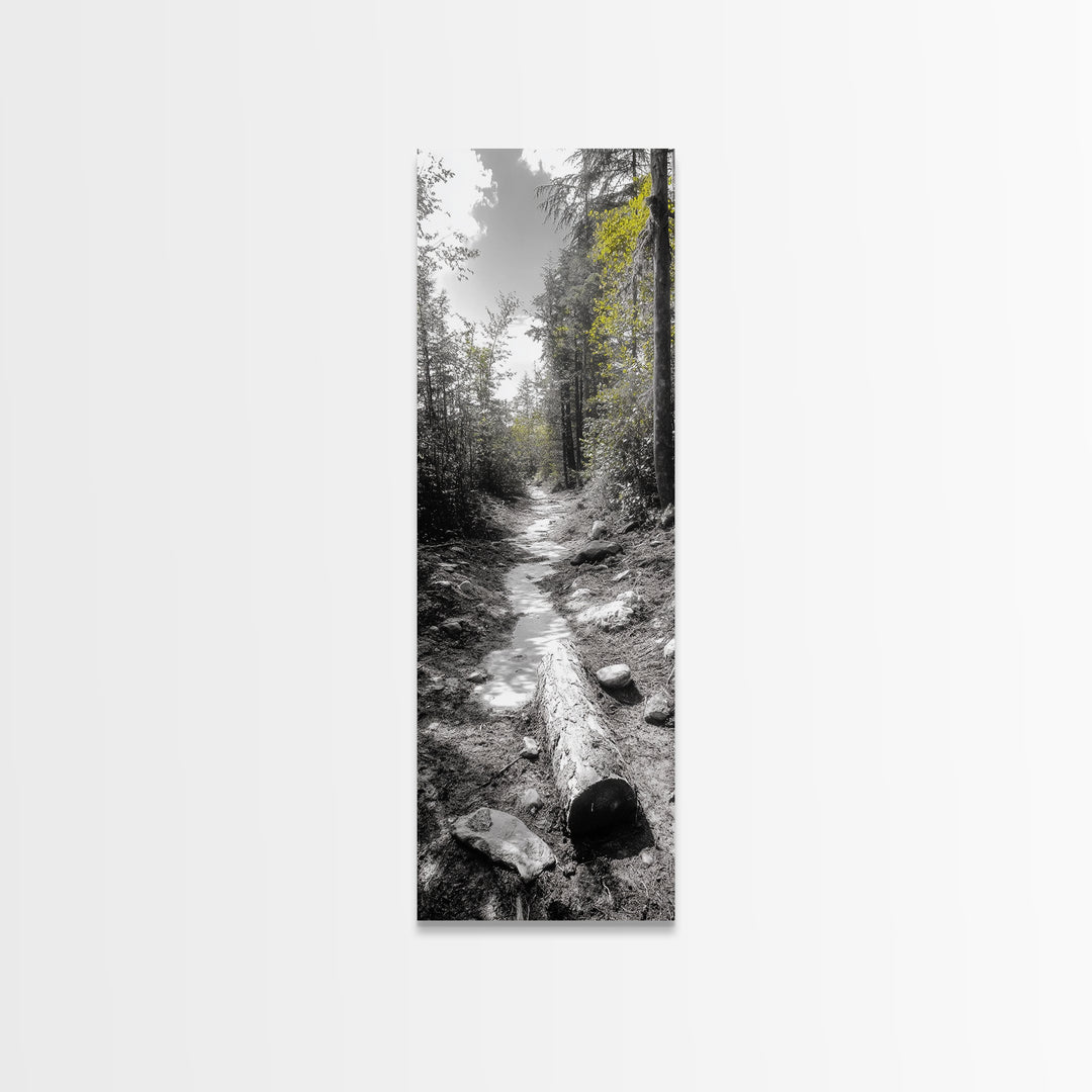 Forest Path, Autumn Leaves, Nature Trail, Framed Canvas Print, Black and White Wall Art, Cabin Decor, Rustic Hallway Accent