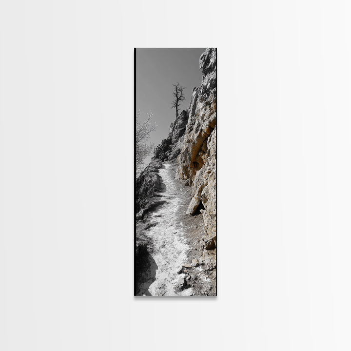 Cliff Pathway Art, Nature Trail Scene, Monochrome Rustic Landscape, Framed Canvas Print, Mountain Cabin Entryway Wall Decor