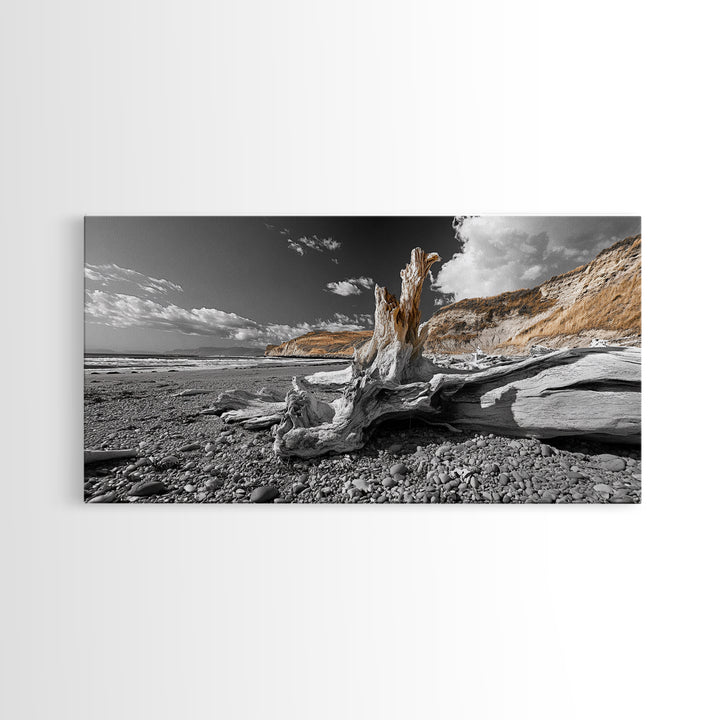 Coastal Driftwood, Beach Scene, Natural Texture, Modern Rustic, Framed Canvas Print, Neutral Tones, Office Wall Art, Coastal Vibe Decor