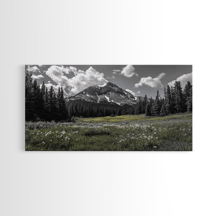 Mountain, Meadow, Wildflowers, Alpine meadow bloom and majestic peak on this Framed Canvas Print, serene Nature Wall Art for Entryway