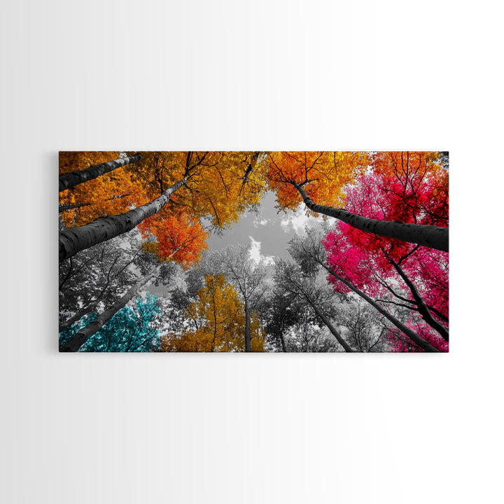 Autumn Trees, Colorful Forest, Fall Foliage, Looking Up, Framed Canvas Print, Vibrant Nature, Living Room Wall Art, Boho Style