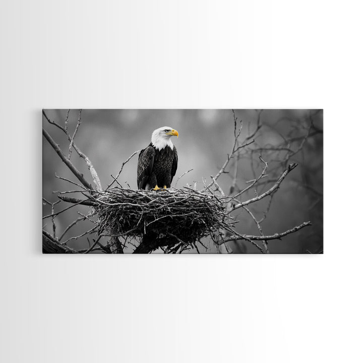 Bald Eagle, Monochrome Nature, Wildlife Photography, Fierce Majesty, Framed Canvas Print, Office Wall Art, Black White Bold Bird Scene