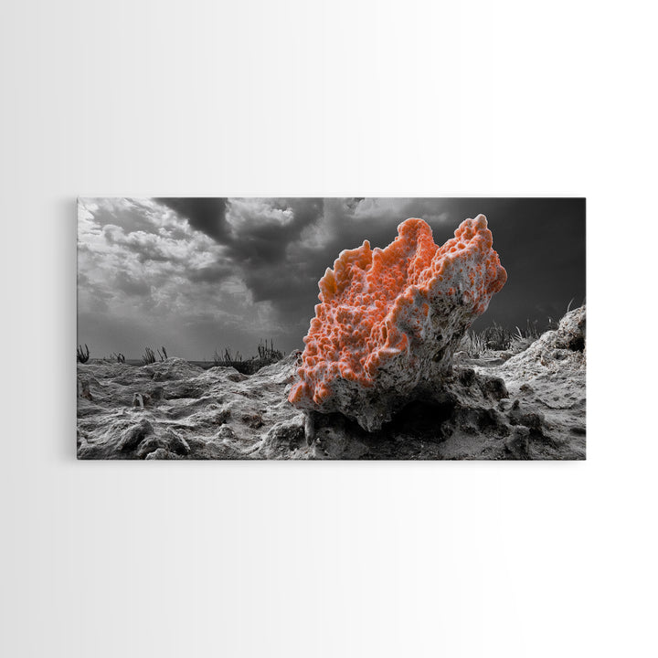 Coral Texture Art, Desert Coral Print, Earthy Organic Decor, Vibrant Nature Scene, Framed Canvas Print, Living Room Wall Art, Natural Art