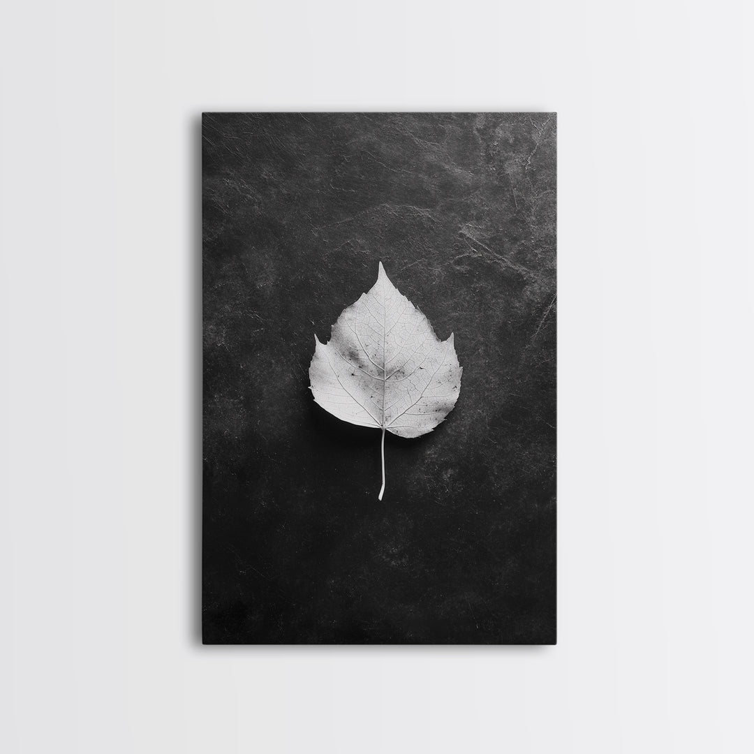 Monochrome Leaf, Nature Minimal, Still Life, Moody Art, Framed Canvas Print, Fall Wall Art, Kitchen Decor, Neutral Modern Aesthetic